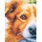 Broderie Chiens - Chien en automne - Vervaco