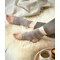 Livre Tricoter ses chaussettes - toutes les techniques - Librairie Créative