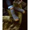 Livre Tricoter ses chaussettes - toutes les techniques - Librairie Créative