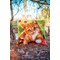 Coussins Point Noue - Chat mignon - Vervaco