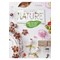 Livre - Deco vegetale nature - 45 projets au fil des saisons - Librairie Créative