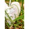 Broderie Traditionnelle - Lilly of valley - Vervaco