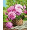Peinture par numéro - Garden basket - Wizardi