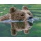 Broderie diamant Squares - Grizzly swim - Diamond Dotz