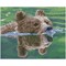 Broderie diamant Squares - Grizzly swim - Diamond Dotz