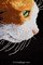 Profil de chat bicolore kit à broder point de croix - Vervaco