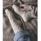 Livre 52 chaussettes a tricoter toute l'annee - Librairie Créative