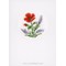 Kit carte Vervaco à broder fleurs et lavandes - lot de 3