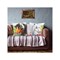 Coussin Collection d'art au point de croix jolie poney