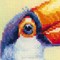 Le toucan kit broderie point de croix - RIOLIS