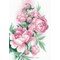 Broderie Fleurs et Plantes - Lush Péonies - RIOLIS
