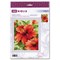 Broderie Fleurs et Plantes - Hibiscus - RIOLIS