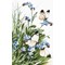 Kit tableau point de croix butterflies and bluebird flowers de LETISTITCH