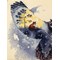 Broderie Animaux Oiseaux - In the night Forest - RIOLIS
