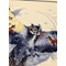 Broderie Animaux Oiseaux - In the night Forest - RIOLIS