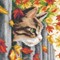 Broderie Chats - Chaton sur la clôture - Vervaco