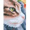 Broderie Chats - Chaton sur la clôture - Vervaco