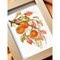 Broderie Fleurs et Plantes - Sunny Persimmon - RIOLIS