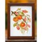 Broderie Fleurs et Plantes - Sunny Persimmon - RIOLIS