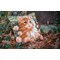 Coussins Chats au point de croix - Chaton - Vervaco
