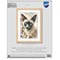 Broderie Chats - Chat siamois - Vervaco
