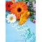 Kit Chemin de Table Traditionnelle - Pastel flowers - Vervaco