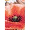 Broderie Fleurs et Plantes - Coquelicots sauvages - Vervaco