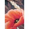 Broderie Fleurs et Plantes - Coquelicots sauvages - Vervaco