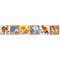 Kit canevas enfants les animaux sauvages - lot de 6 assortis - SEG