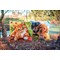 Coussins Point Noue - Chiens basset - Vervaco