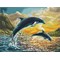 Broderie diamant Squares - Dolphin sunset - Diamond Dotz