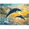 Broderie diamant Squares - Dolphin sunset - Diamond Dotz