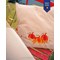 Coussins broderie Traditionnelle - Citrouille d'automne - Vervaco