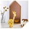 Livre - Origami modulaire - 20 modeles a realiser pour destresser - Librairie Créative