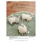 Livre - Magic patch quilts japan n°34 coeurs a quilter 71 modeles romantiques - Librairie Créative