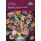 Broderie en point compté fleurs de bosschaert national gallery de DMC