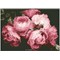 Broderie diamant Squares - Vintage roses - Diamond Dotz