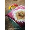 Coussins au point de croix - Fleur de peluche - Vervaco