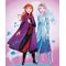 Kit broderie diamant elsa et anna - frozen ii de Vervaco