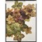 Livre - Tissez vos fleurs sechees - Librairie Créative