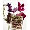 Livre - Tissez vos fleurs sechees - Librairie Créative