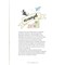 Livre - Petit guide pour grand bullet - Librairie Créative