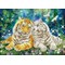Broderie diamant - Le couple de tigres - Diamond Dotz