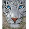 Broderie diamant - Magie de la jungle - Diamond Dotz