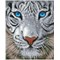 Broderie diamant - Magie de la jungle - Diamond Dotz