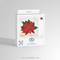 Broderie diamant - Poinsettia de noel - Diamond Dotz