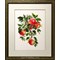 Broderie Fleurs et Plantes - Juicy Apples - RIOLIS