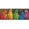Broderie diamant - Les perroquets arc - Diamond Dotz