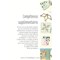 Livre - L'essentiel du quilting - techniques et conseils - Librairie Créative