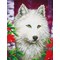 Broderie diamant - Le loup blanc - Diamond Dotz